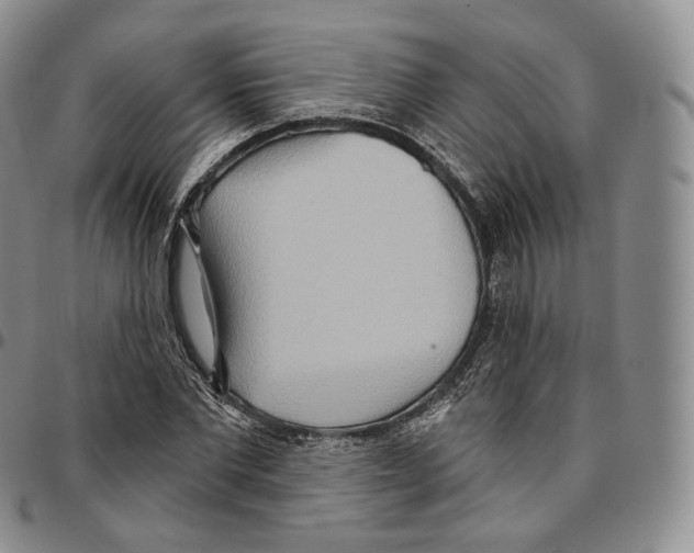 X0000096690877200803041258