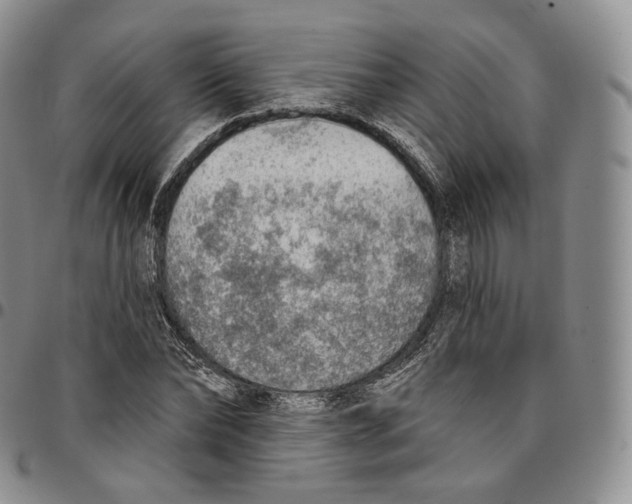 X0000096690878200803041258