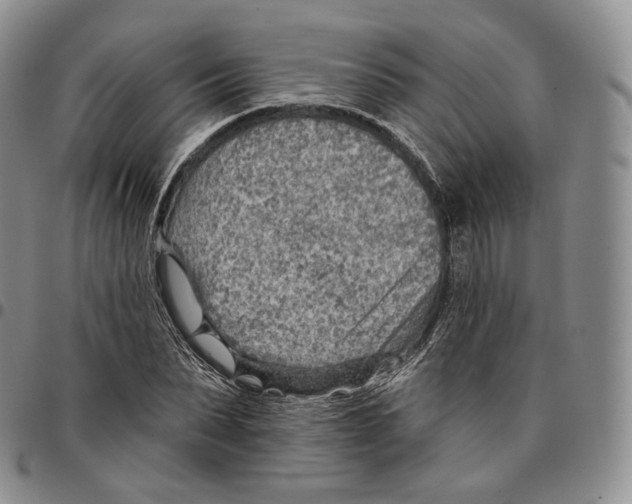 X0000096690879200803041258