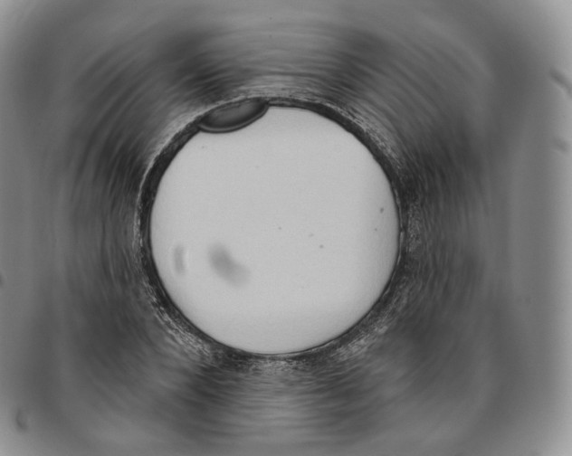 X0000096690880200803041258