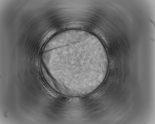 X0000096690882200803041258