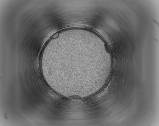 X0000096690883200803041258