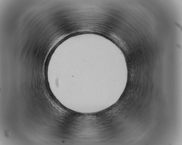 X0000096690884200803041258