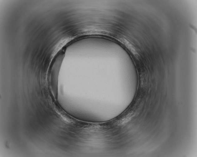 X0000096690885200803041258