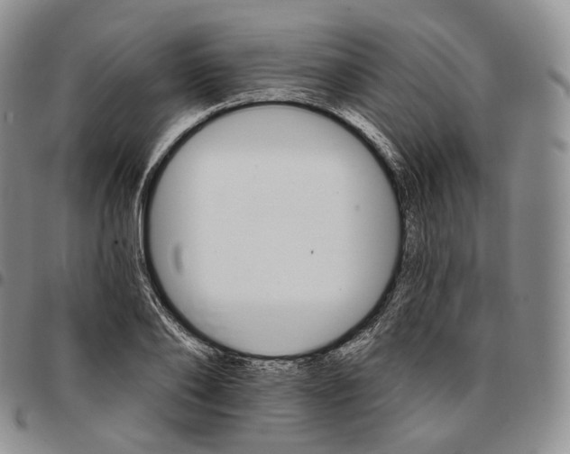 X0000096690886200803041258