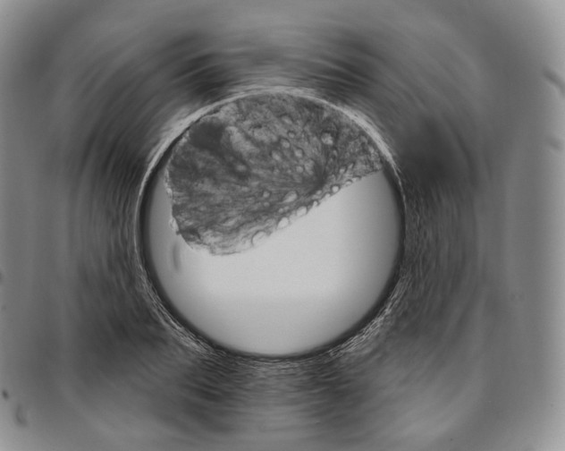 X0000096690887200803041258