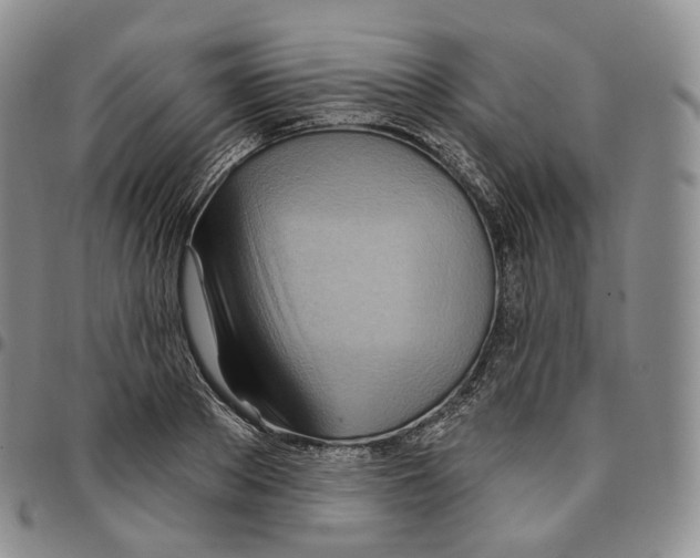 X0000096690889200803041258