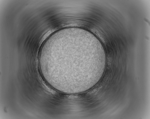 X0000096690890200803041258