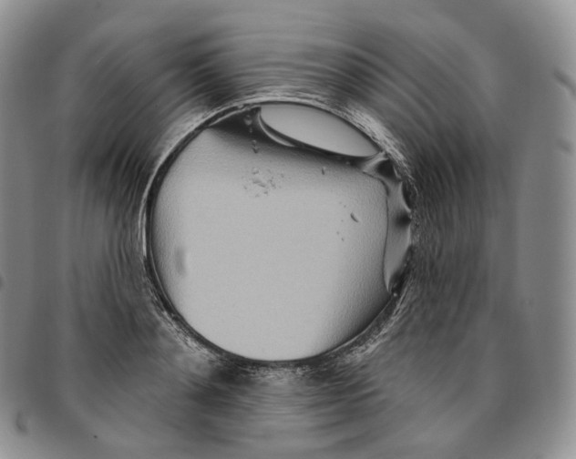 X0000096690892200803041258