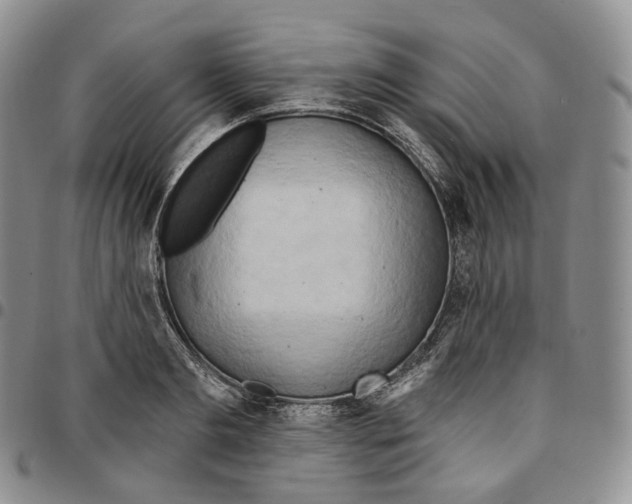 X0000096690893200803041258