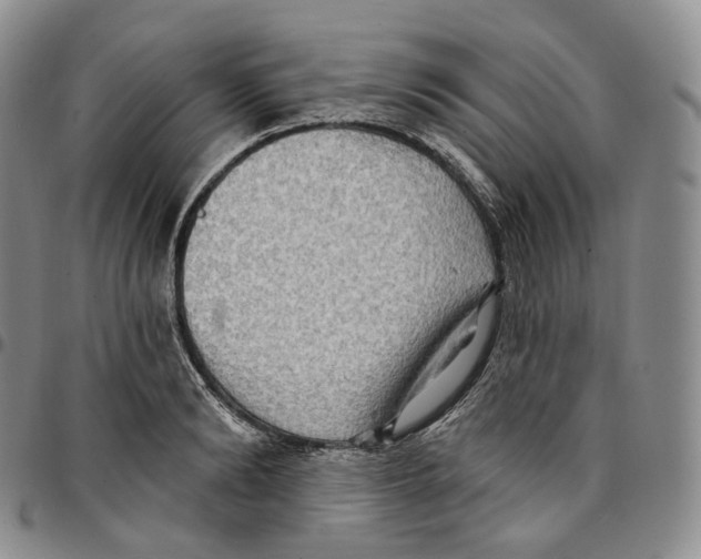 X0000096690894200803041258