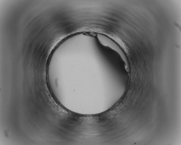 X0000096690896200803041258