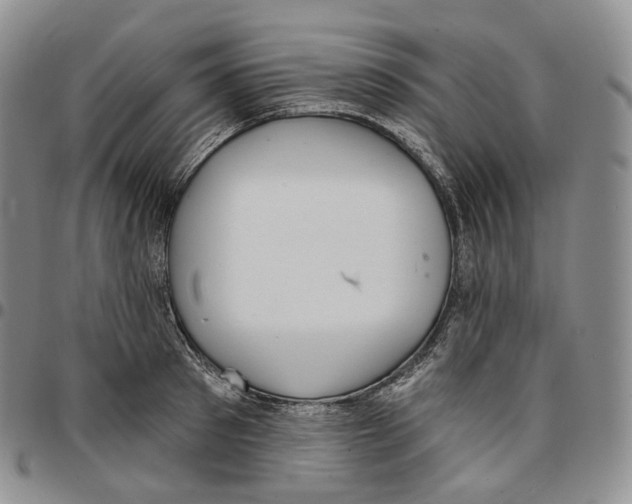 X0000096690897200803041258