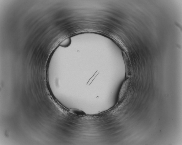 X0000096690898200803041258