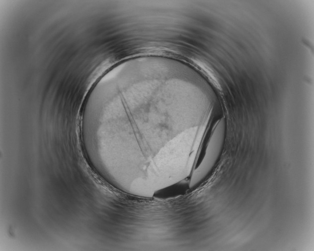 X0000096690899200803041258