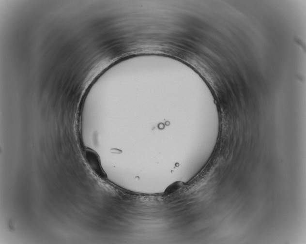 X0000096690901200803041258