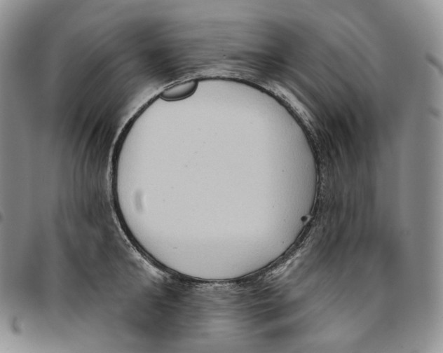 X0000096690902200803041258