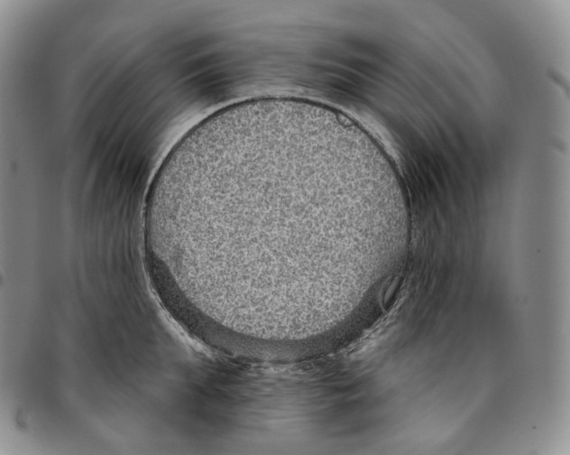 X0000096690903200803041258