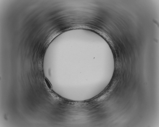 X0000096690905200803041258