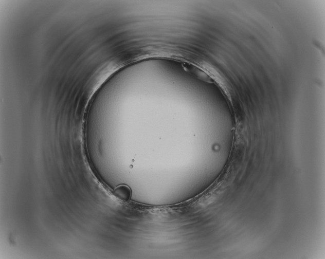 X0000096690906200803041258