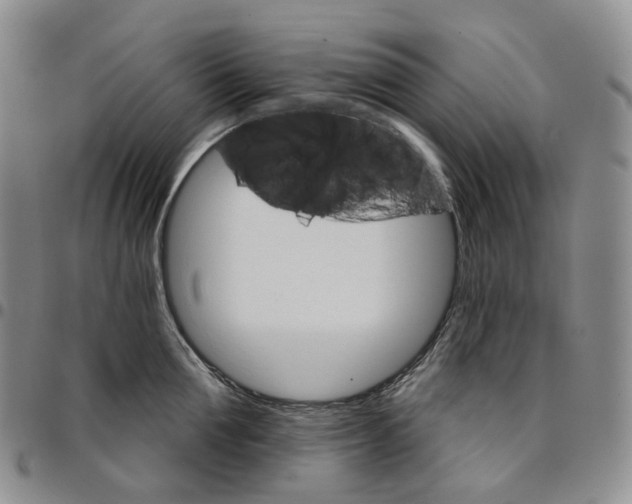 X0000096690907200803041258