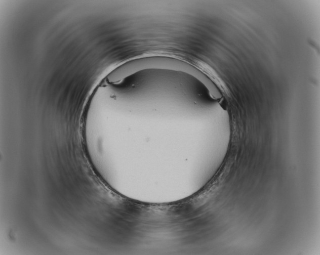 X0000096690908200803041258