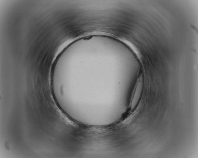 X0000096690910200803041258