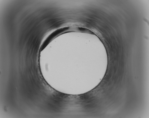 X0000096690912200803041258