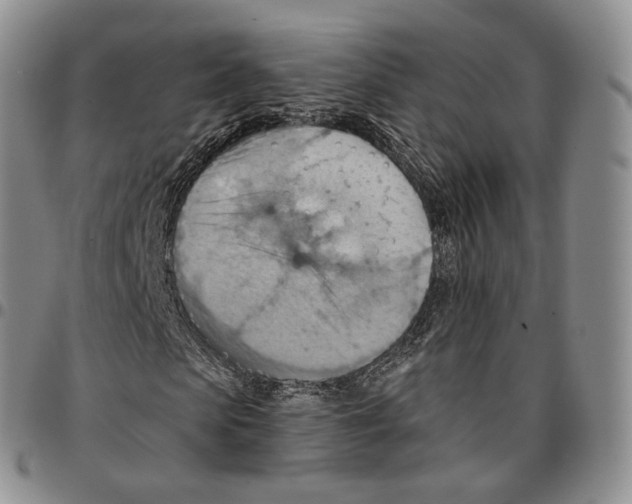 X0000096690913200803041257