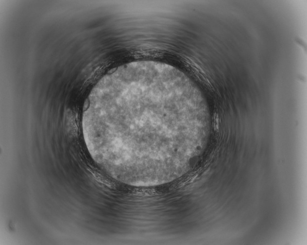 X0000096690915200803041257