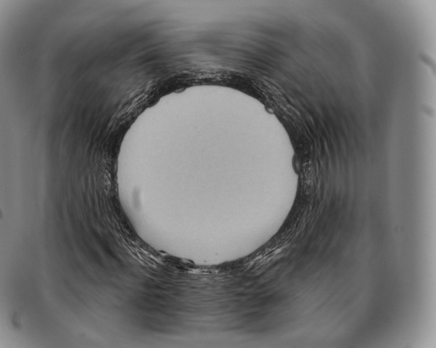 X0000096690916200803041257