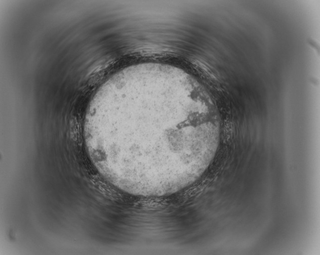 X0000096690917200803041257