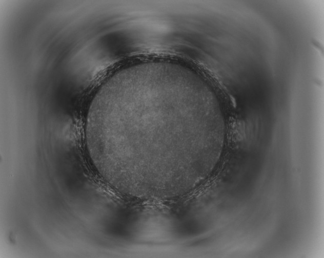 X0000096690918200803041257