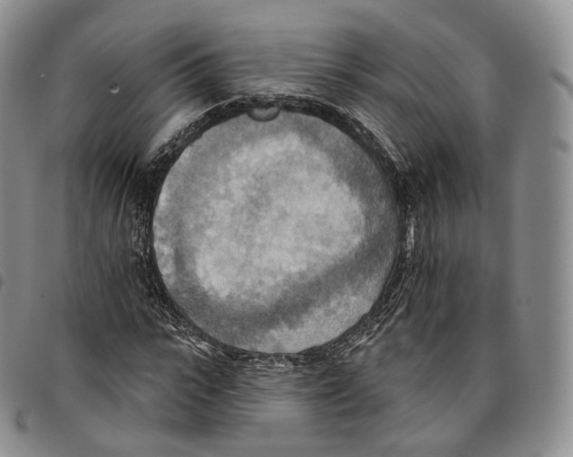 X0000096690919200803041257