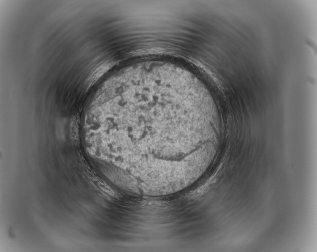 X0000096690921200803041257