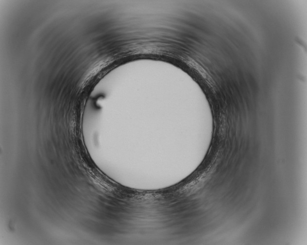 X0000096690922200803041257