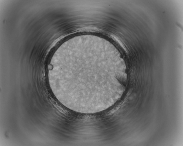 X0000096690923200803041257