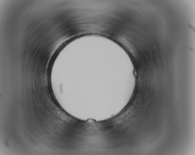 X0000096690924200803041257