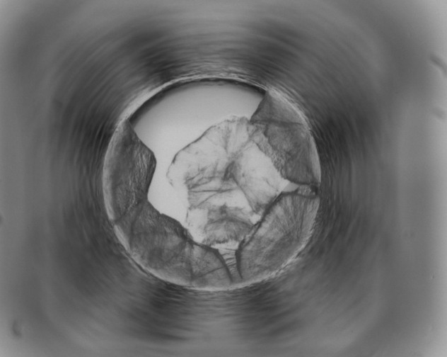 X0000096690925200803041257