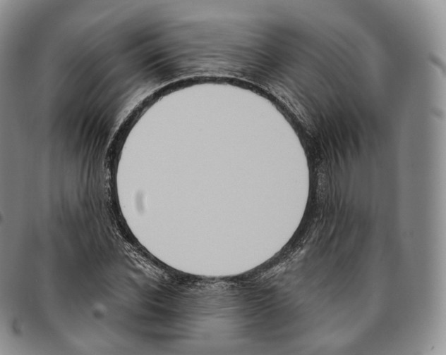 X0000096690926200803041257