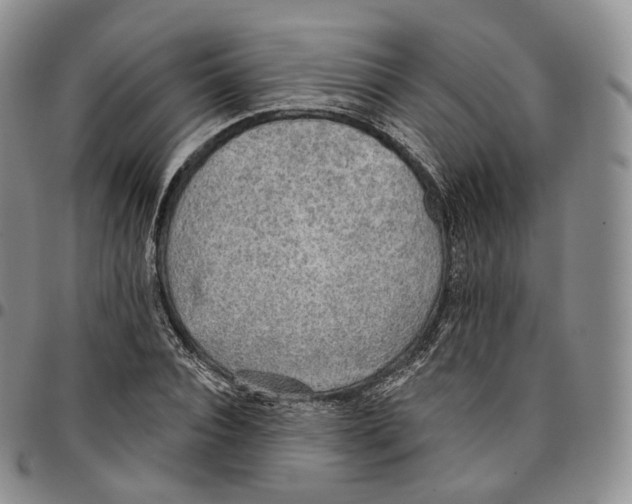 X0000096690928200803041257