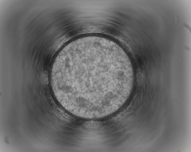 X0000096690929200803041257