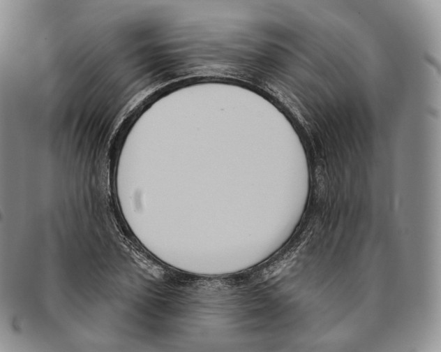 X0000096690931200803041257