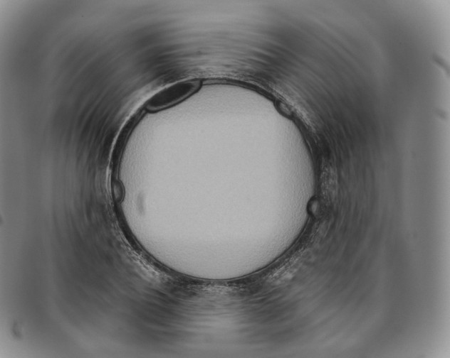 X0000096690932200803041257