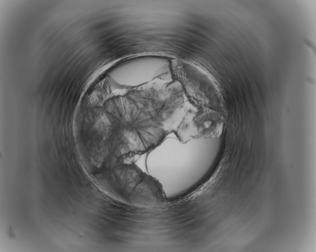 X0000096690933200803041257