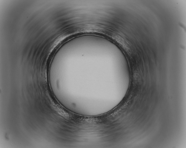 X0000096690934200803041257