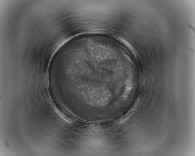 X0000096690935200803041257