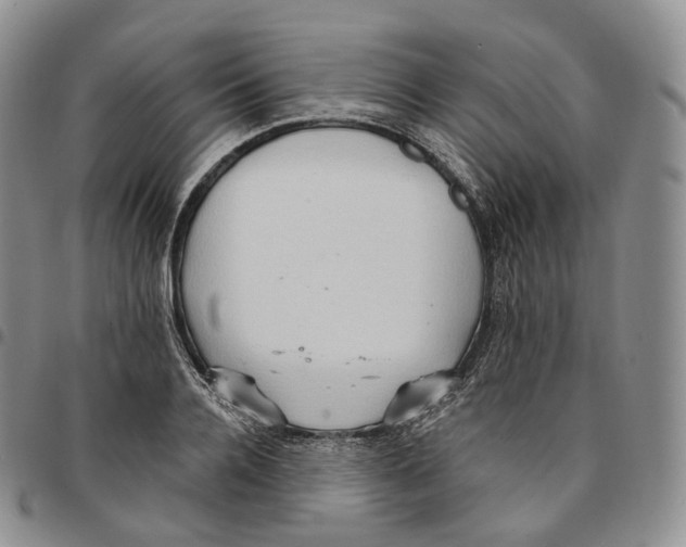 X0000096690936200803041257