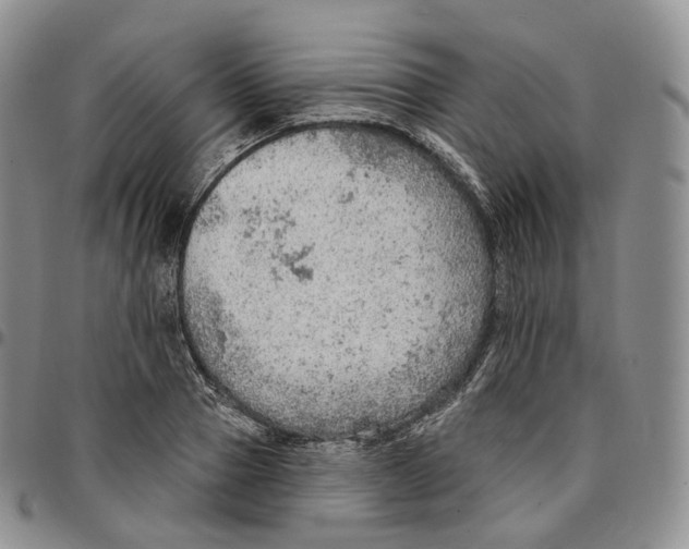 X0000096690937200803041258