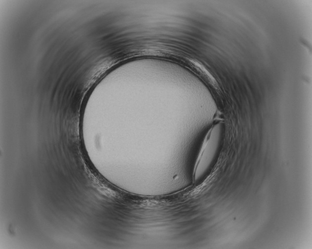 X0000096690938200803041258